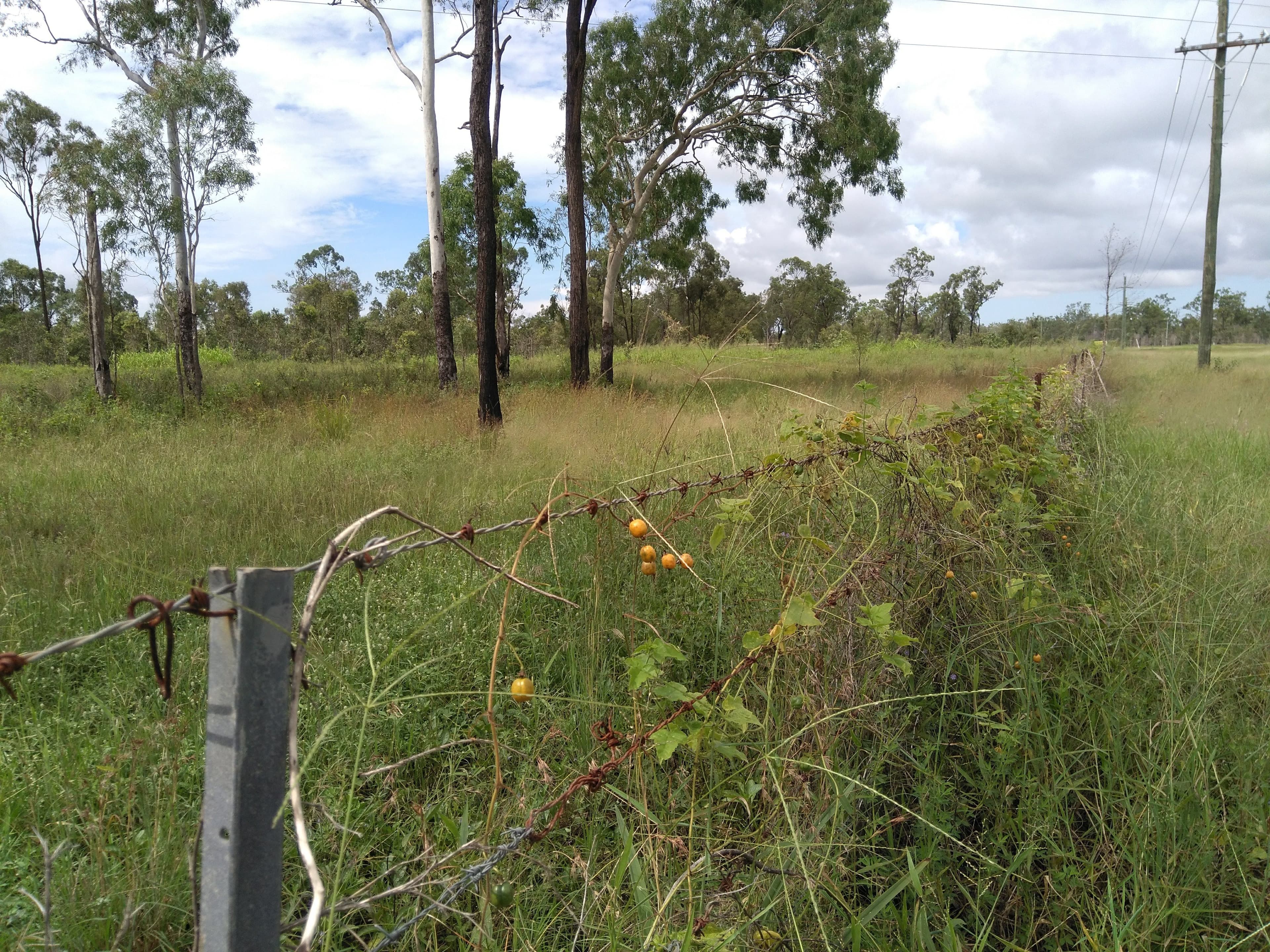 832 Black River Road, Black River QLD 4818, Black River - Image 1