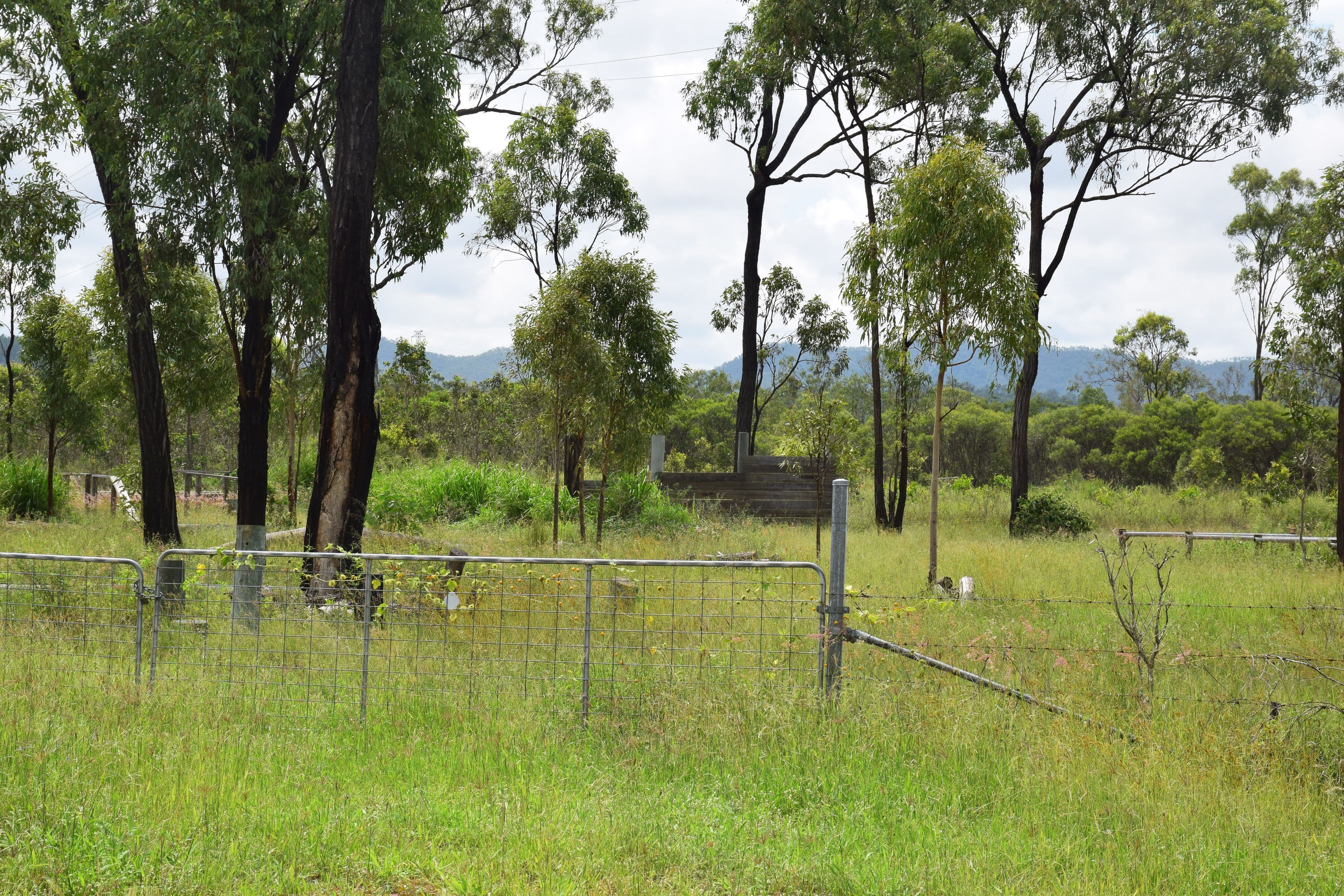 832 Black River Road, Black River QLD 4818, Black River - Thumbnail 5