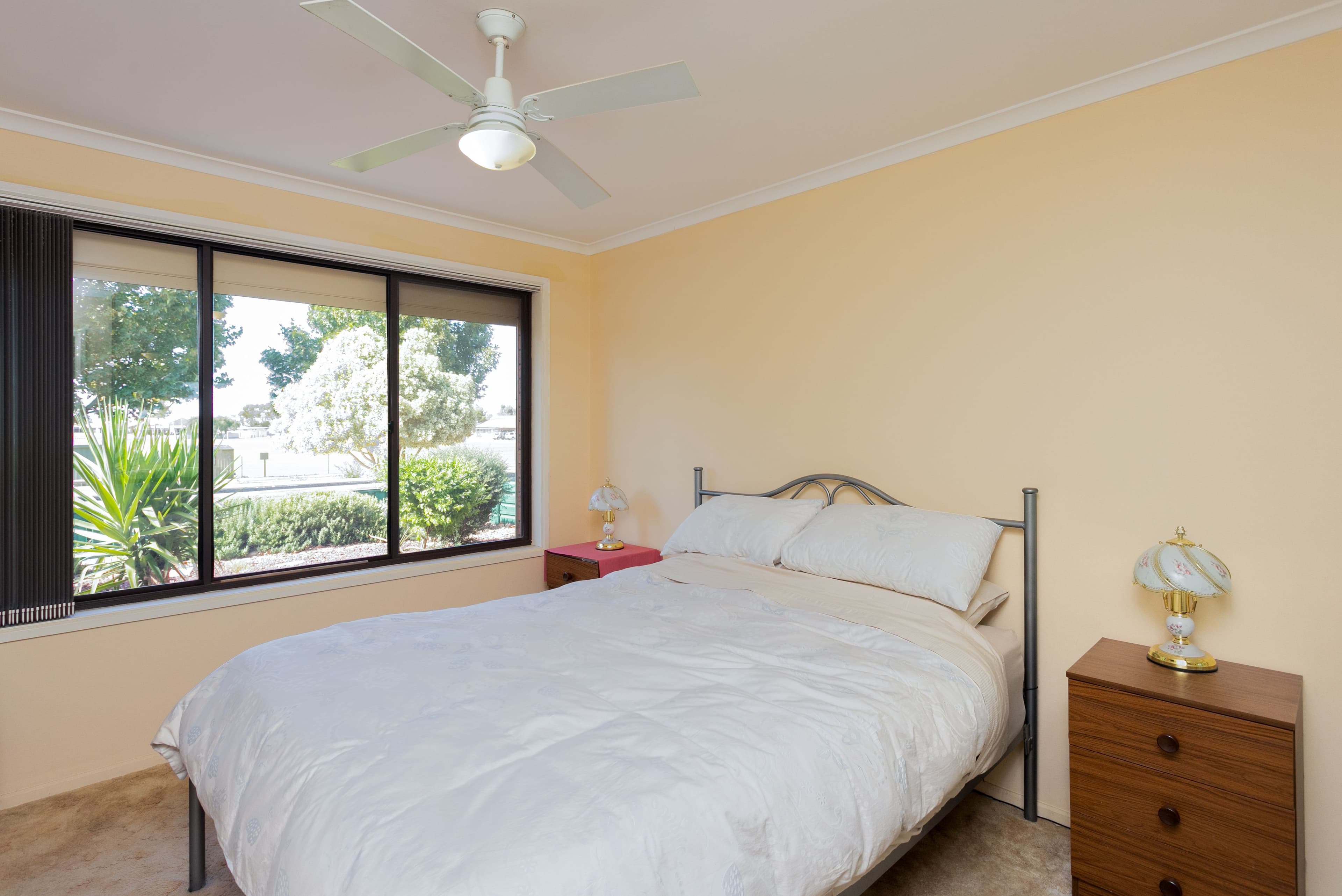 15 Scott Avenue, Barmera SA 5345, Barmera - Thumbnail 8