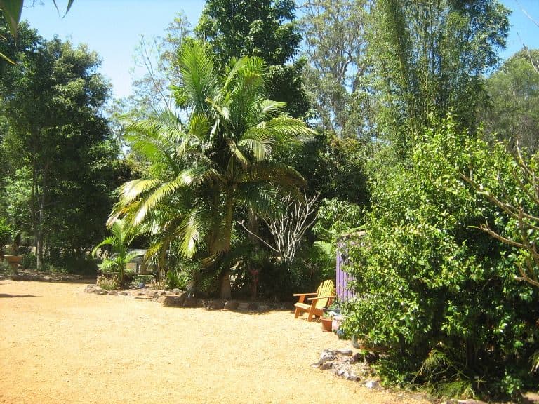 239 Crisp Drive, ASHBY NSW 2463, Ashby Heights - Thumbnail 4