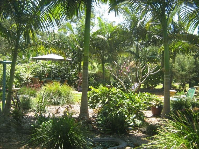 239 Crisp Drive, ASHBY NSW 2463, Ashby Heights - Thumbnail 5