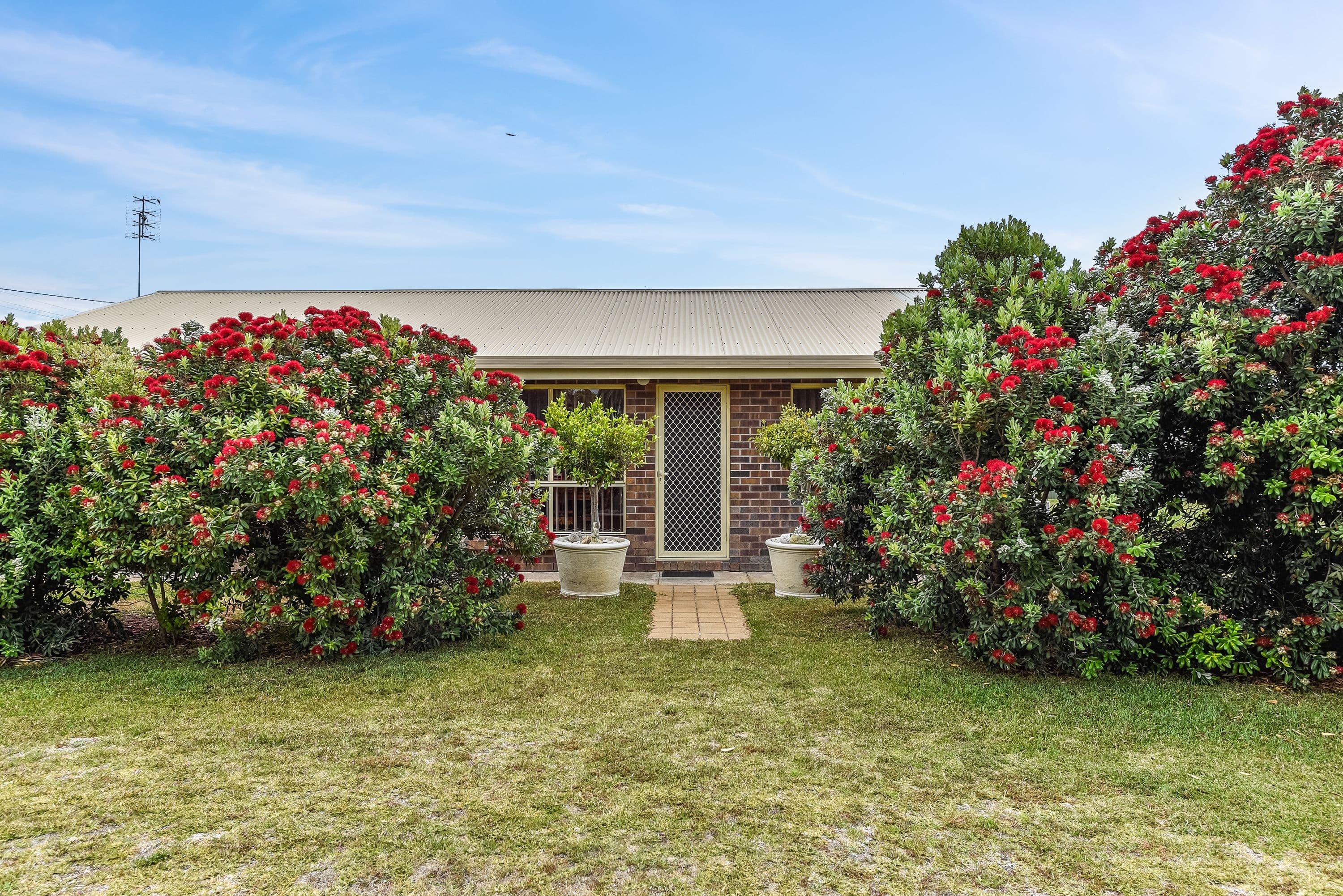 209 Cooke Street, Kingston Se SA 5275, Kingston Se - Thumbnail 2