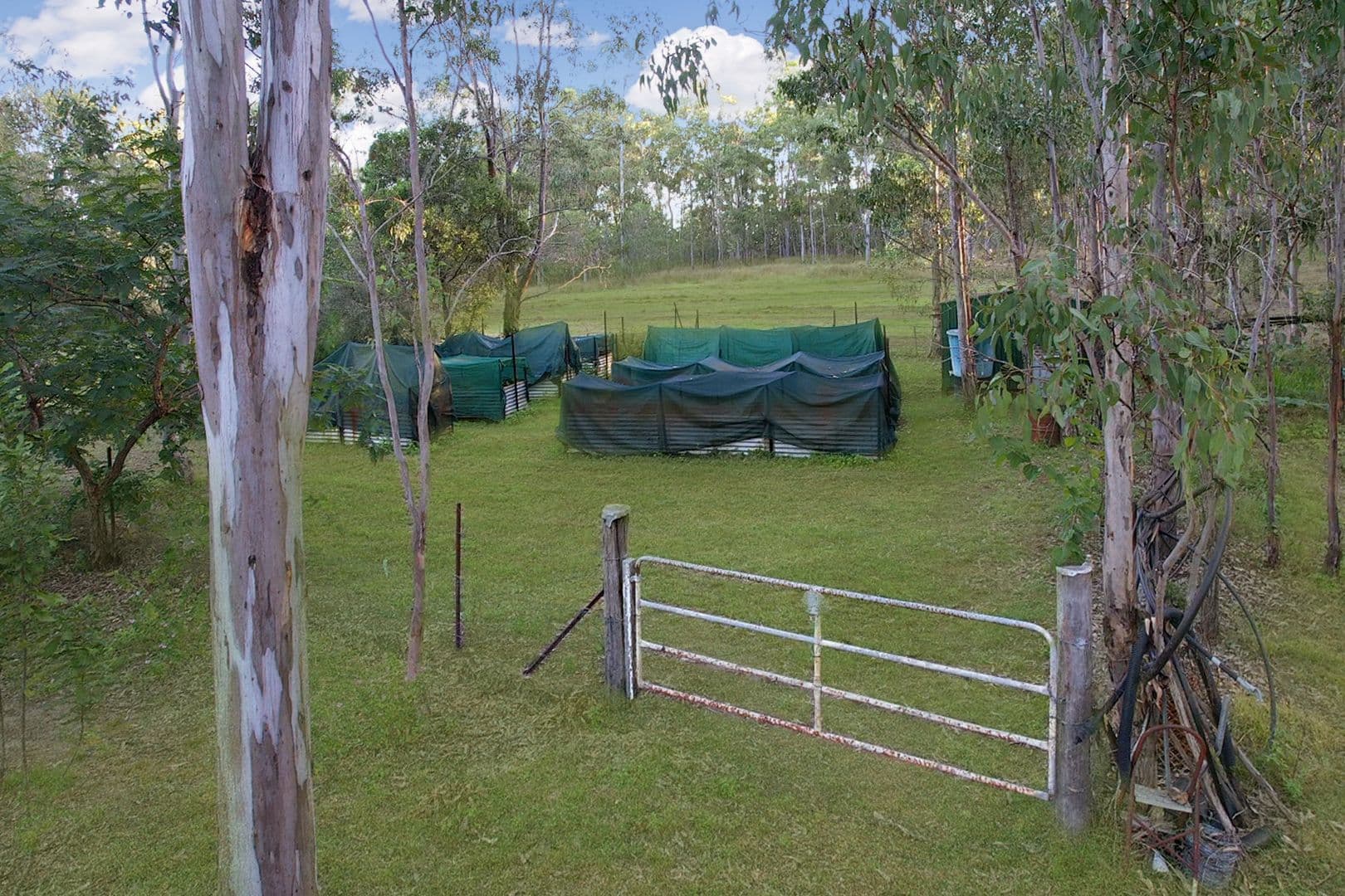 524 Cross Road, Euleilah QLD 4674, Euleilah - Thumbnail 5