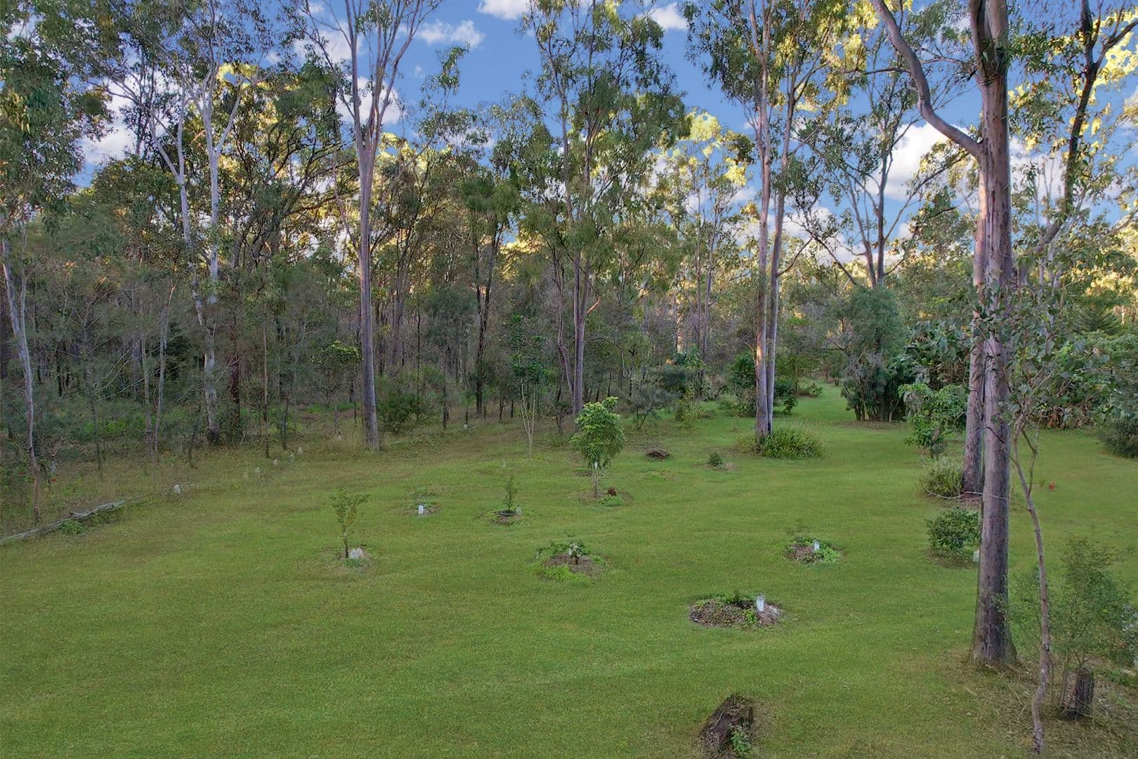 524 Cross Road, Euleilah QLD 4674, Euleilah - Thumbnail 6