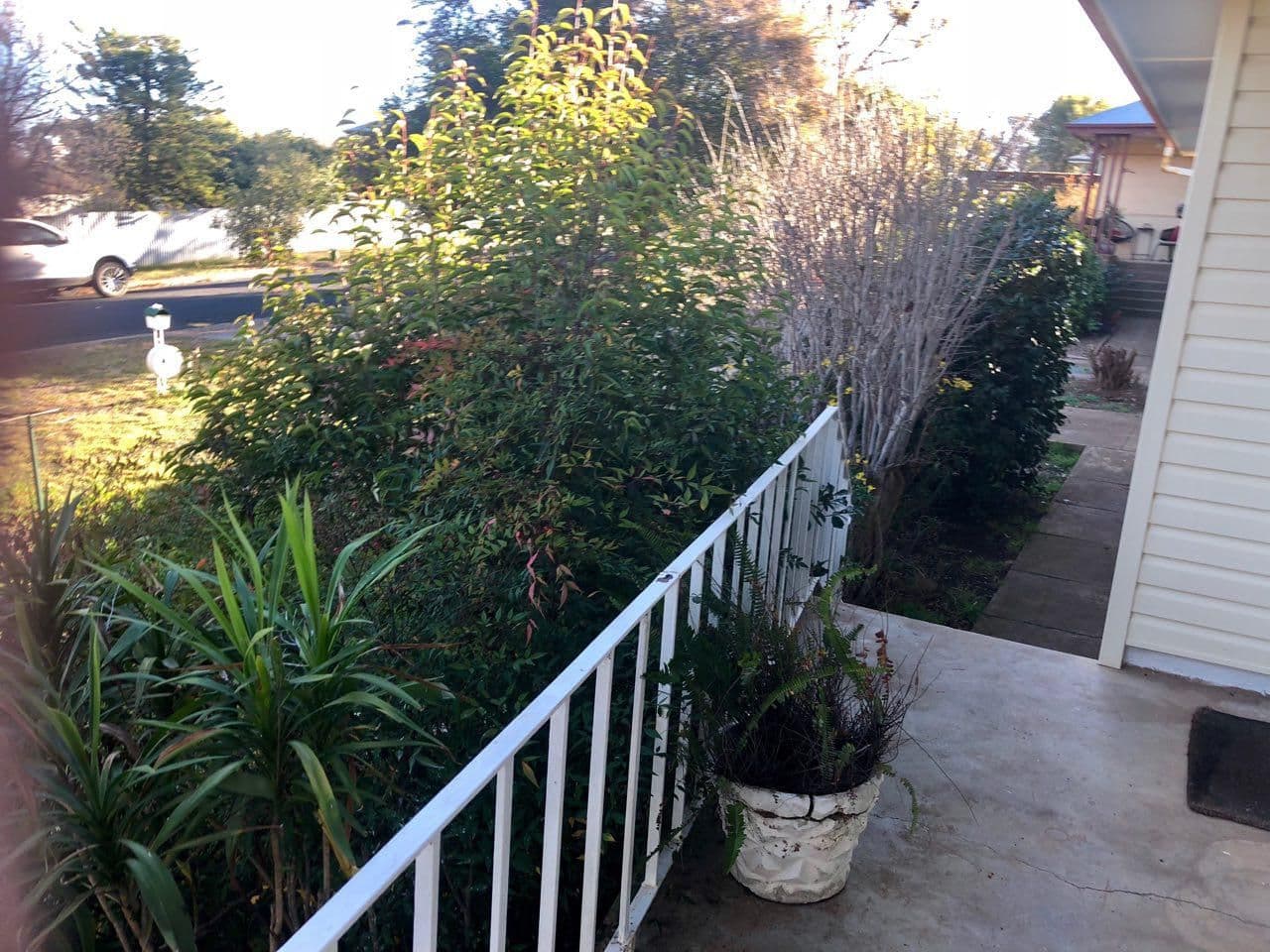 12 Wilga Street, Parkes - Thumbnail 4