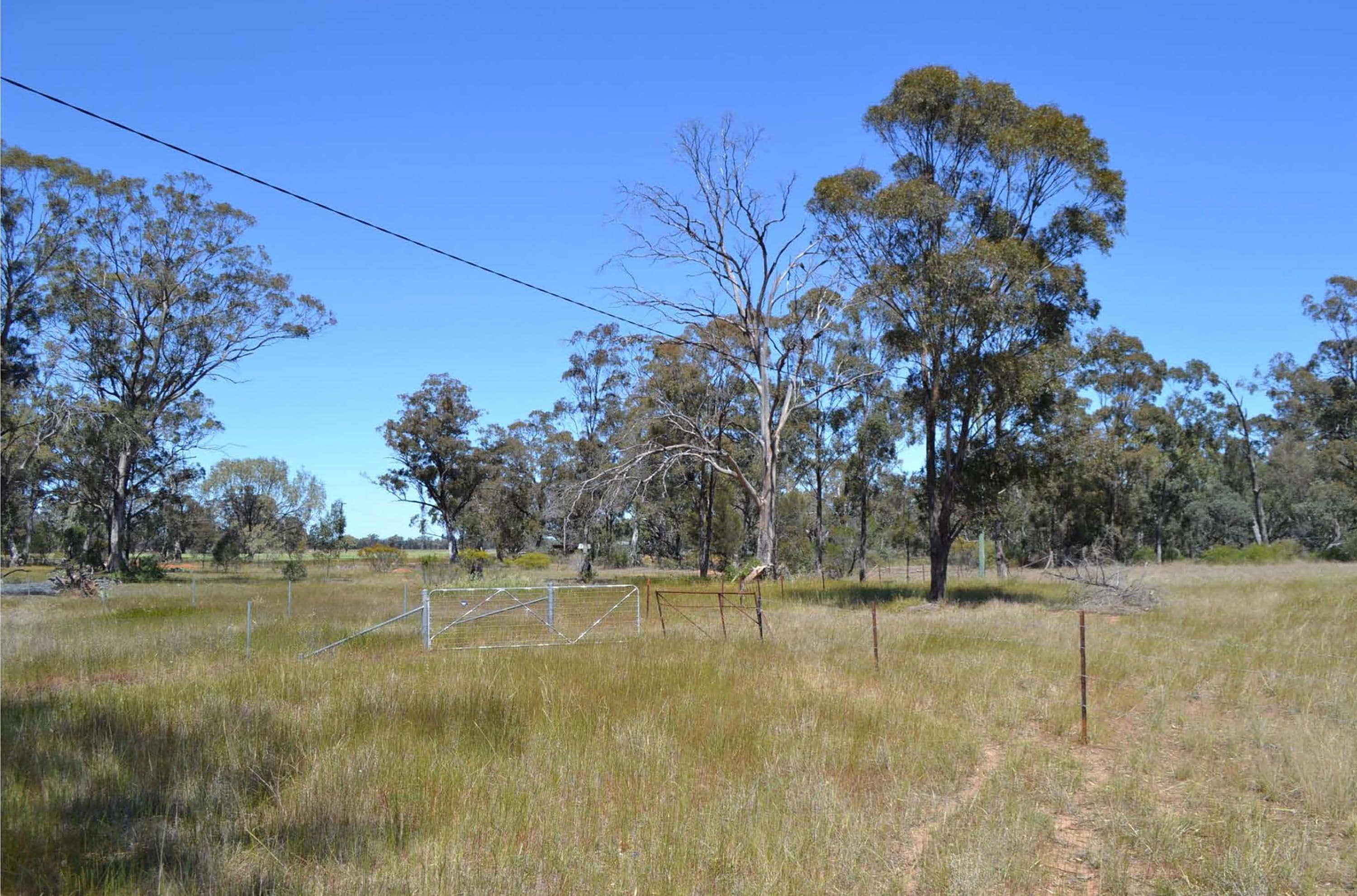 16 and 18 Goonoo Street, Eumungerie NSW 2831, Eumungerie - Image 1