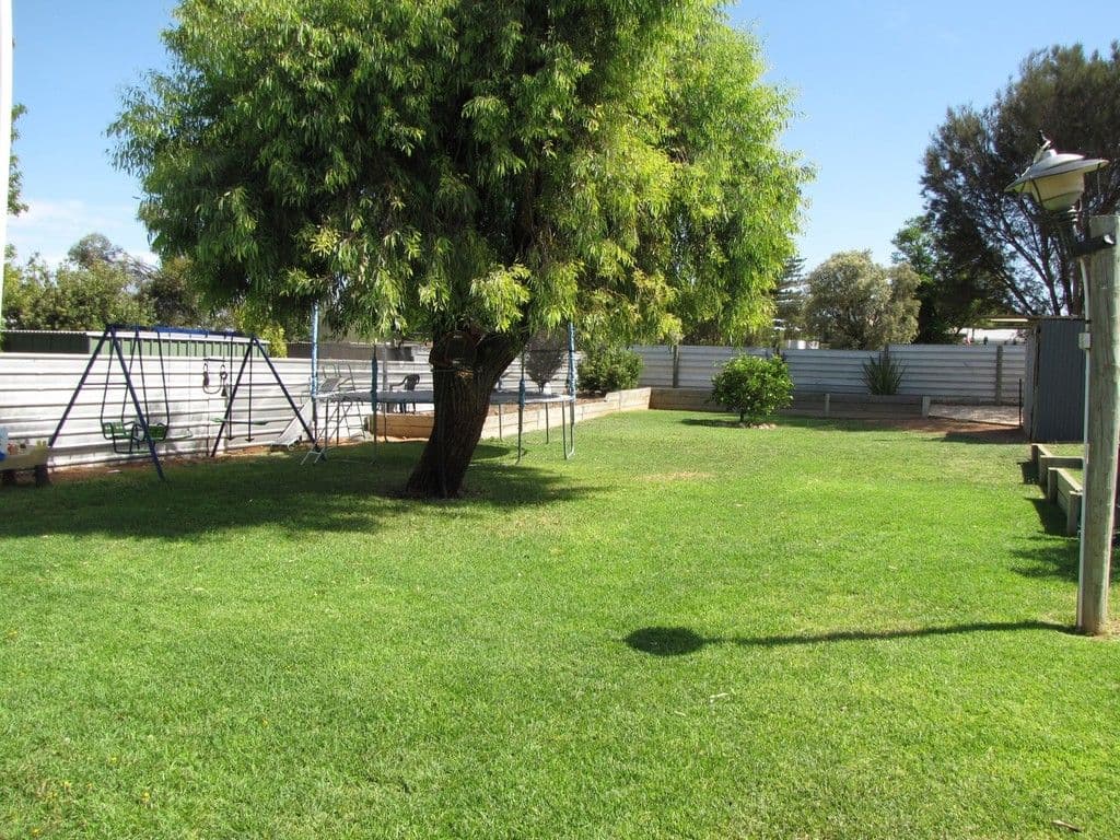3 Morris Street, Loveday SA 5345, Loveday - Thumbnail 8