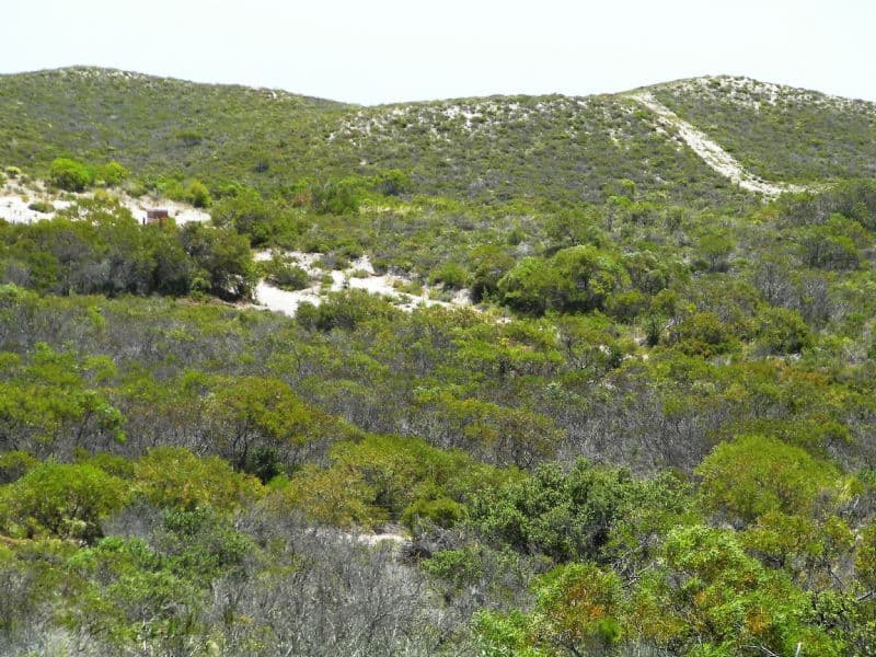 Lot 2 Indiana Crescent, KARAKIN WA 6044, Karakin - Thumbnail 2