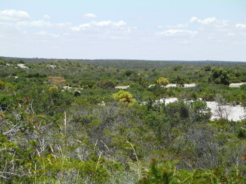 Lot 2 Indiana Crescent, KARAKIN WA 6044, Karakin - Thumbnail 4