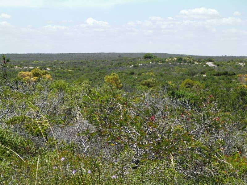 Lot 2 Indiana Crescent, KARAKIN WA 6044, Karakin - Thumbnail 5