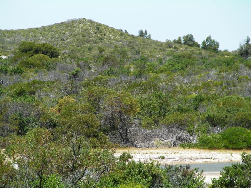 Lot 2 Indiana Crescent, KARAKIN WA 6044, Karakin - Thumbnail 6