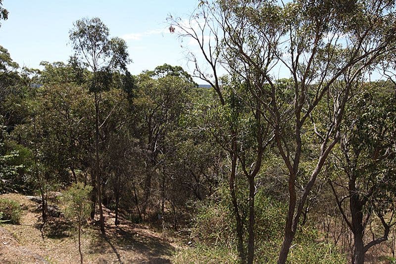 57 Fishery Point Road, MIRRABOOKA NSW 2264, Mirrabooka - Thumbnail 7