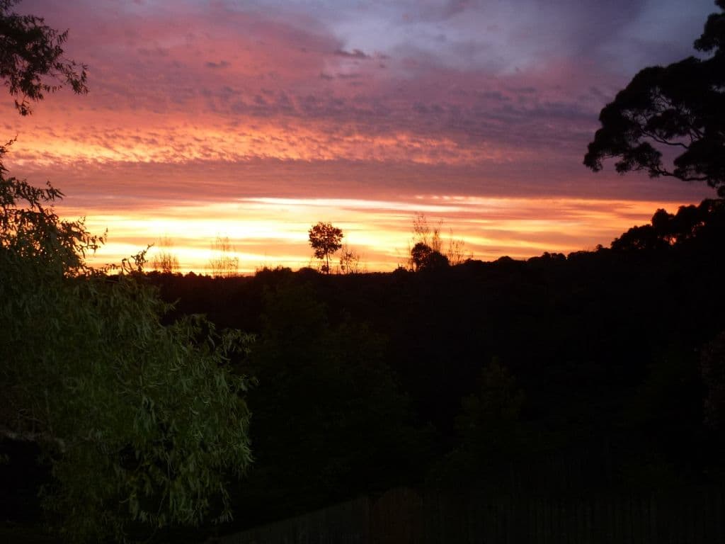 5 Jonathon Place, FRENCHS FOREST NSW 2086, Frenchs Forest - Thumbnail 6