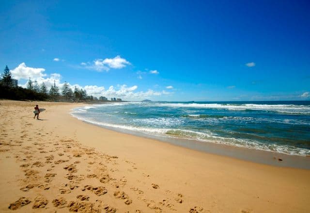11 Alice Street, ALEXANDRA HEADLAND QLD 4572, Alexandra Headland - Thumbnail 4