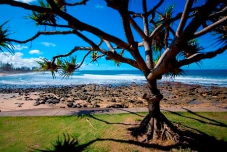 11 Alice Street, ALEXANDRA HEADLAND QLD 4572, Alexandra Headland - Thumbnail 5
