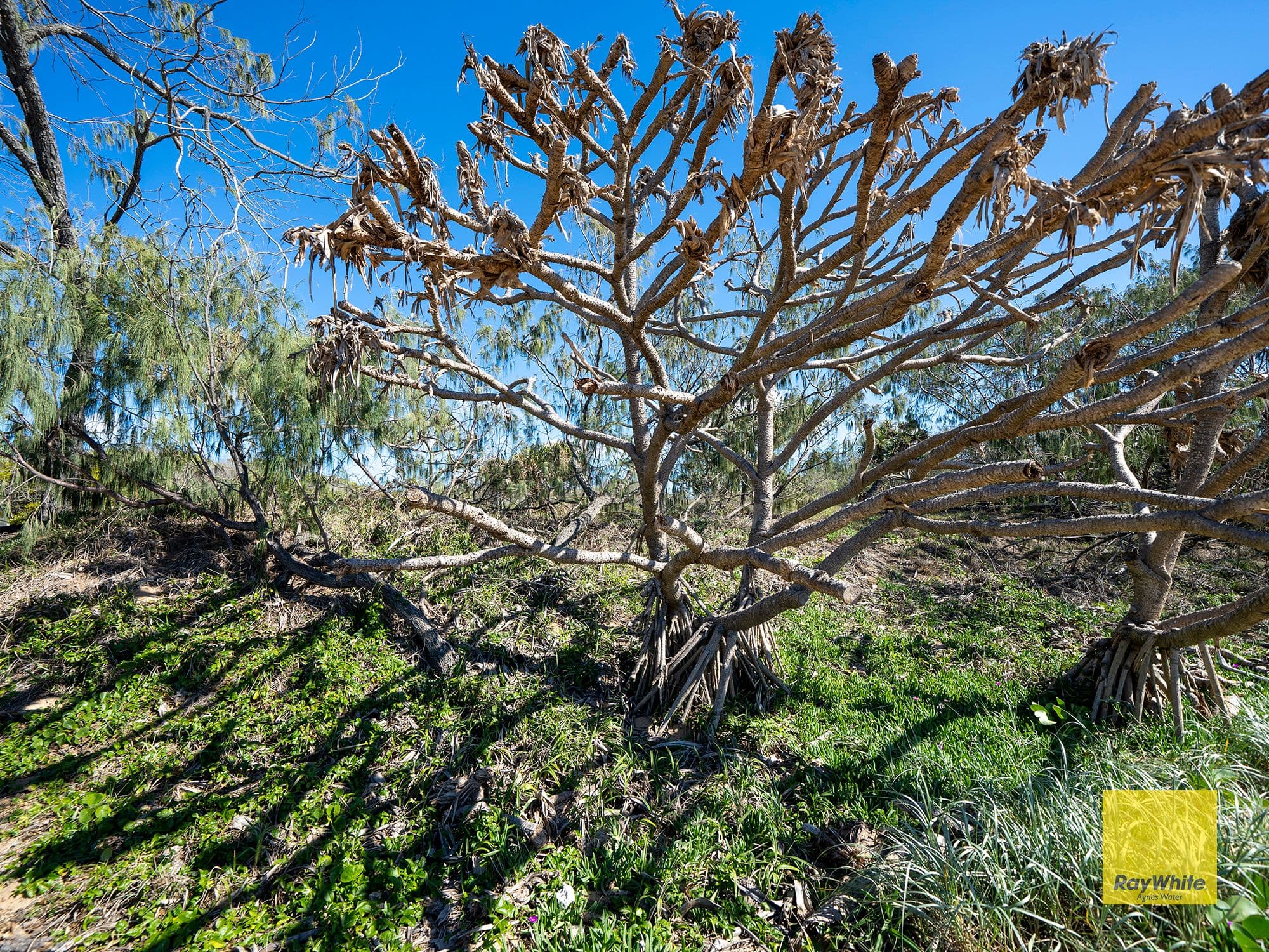 Lot 51 Pacific Drive, Deepwater QLD 4674, Deepwater - Thumbnail 5