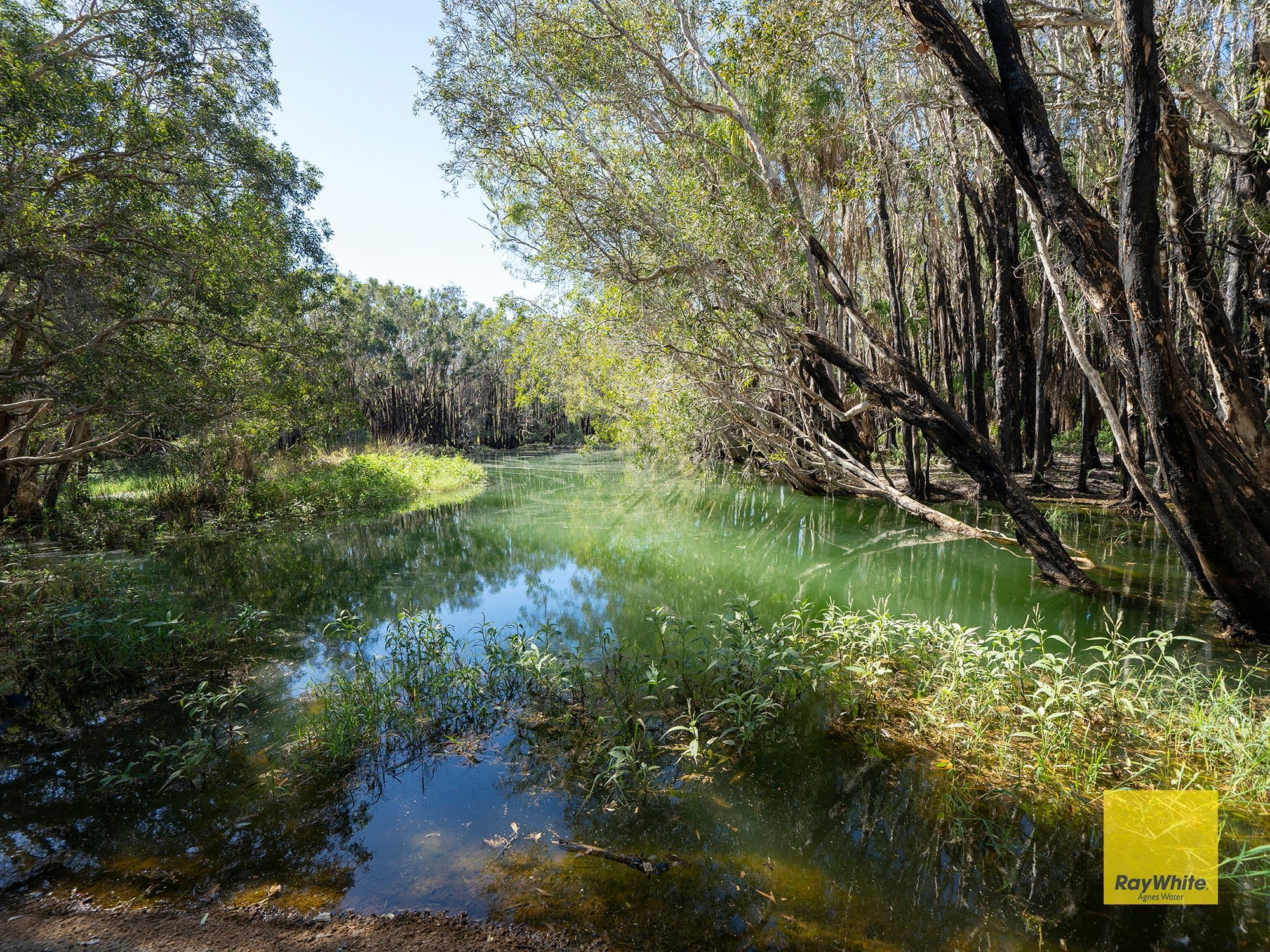 Lot 51 Pacific Drive, Deepwater QLD 4674, Deepwater - Thumbnail 6