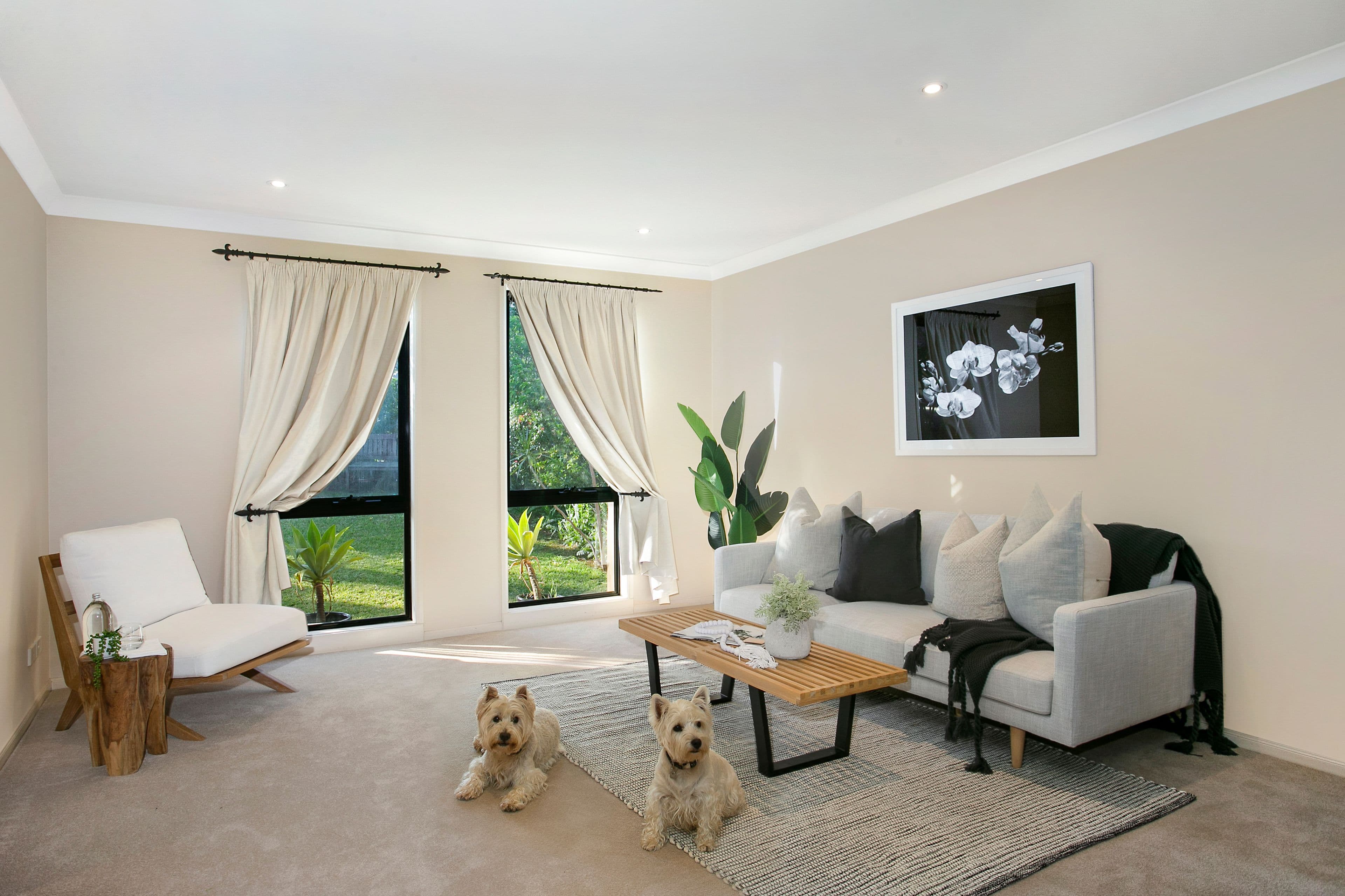 15 Pamela Street, North Ryde - Thumbnail 3