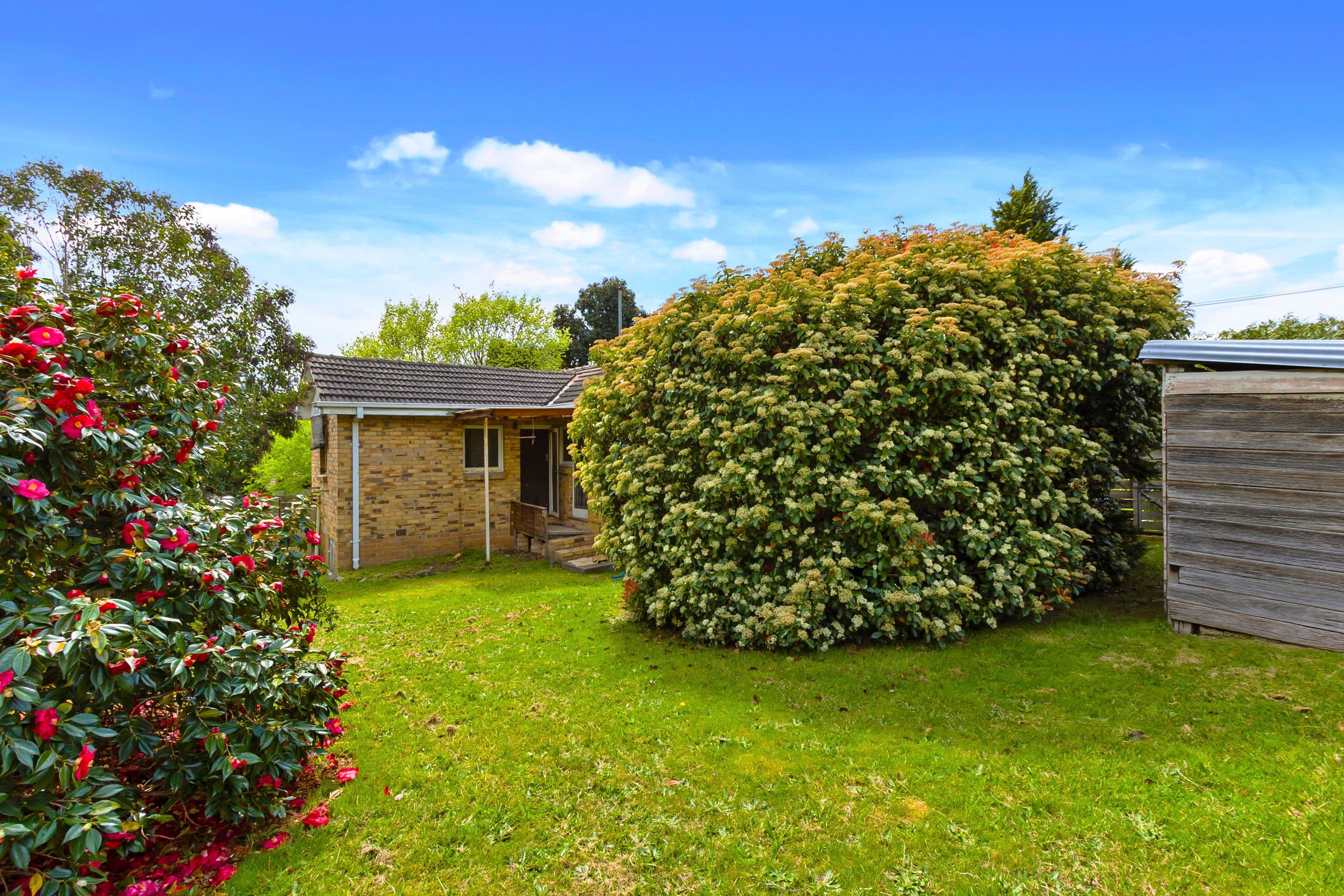 10 Valda Avenue, Mont Albert North VIC 3129, Mont Albert North - Thumbnail 3