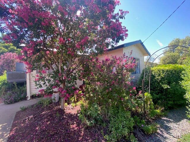 50 Wambiana Street, Nyngan NSW 2825, Nyngan - Image 1