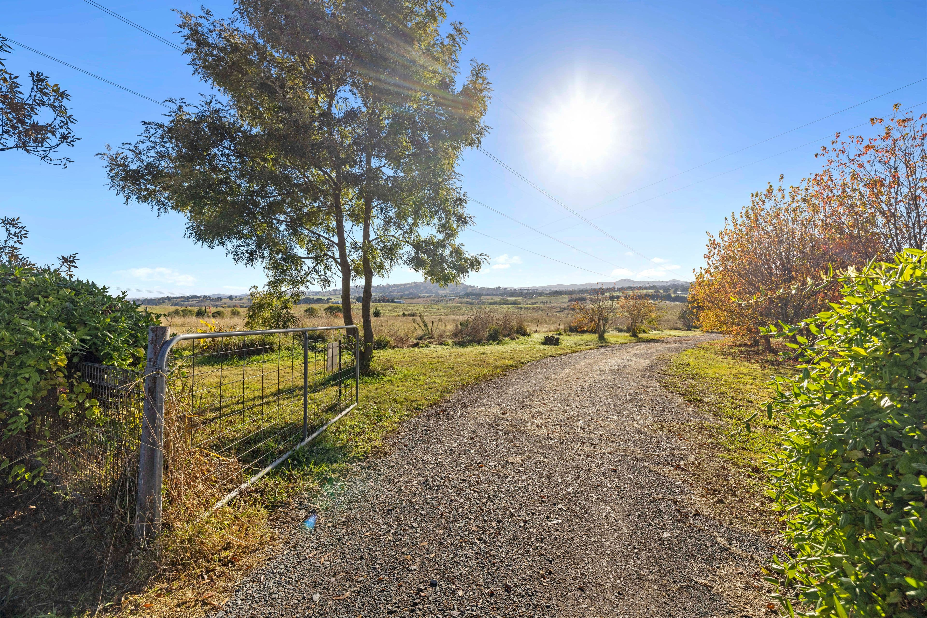 158 Dog Trap Road, Yass NSW 2582, Marchmont - Thumbnail 3