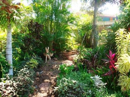 33 Dart Street, CORINDA QLD 4075, Corinda - Thumbnail 6