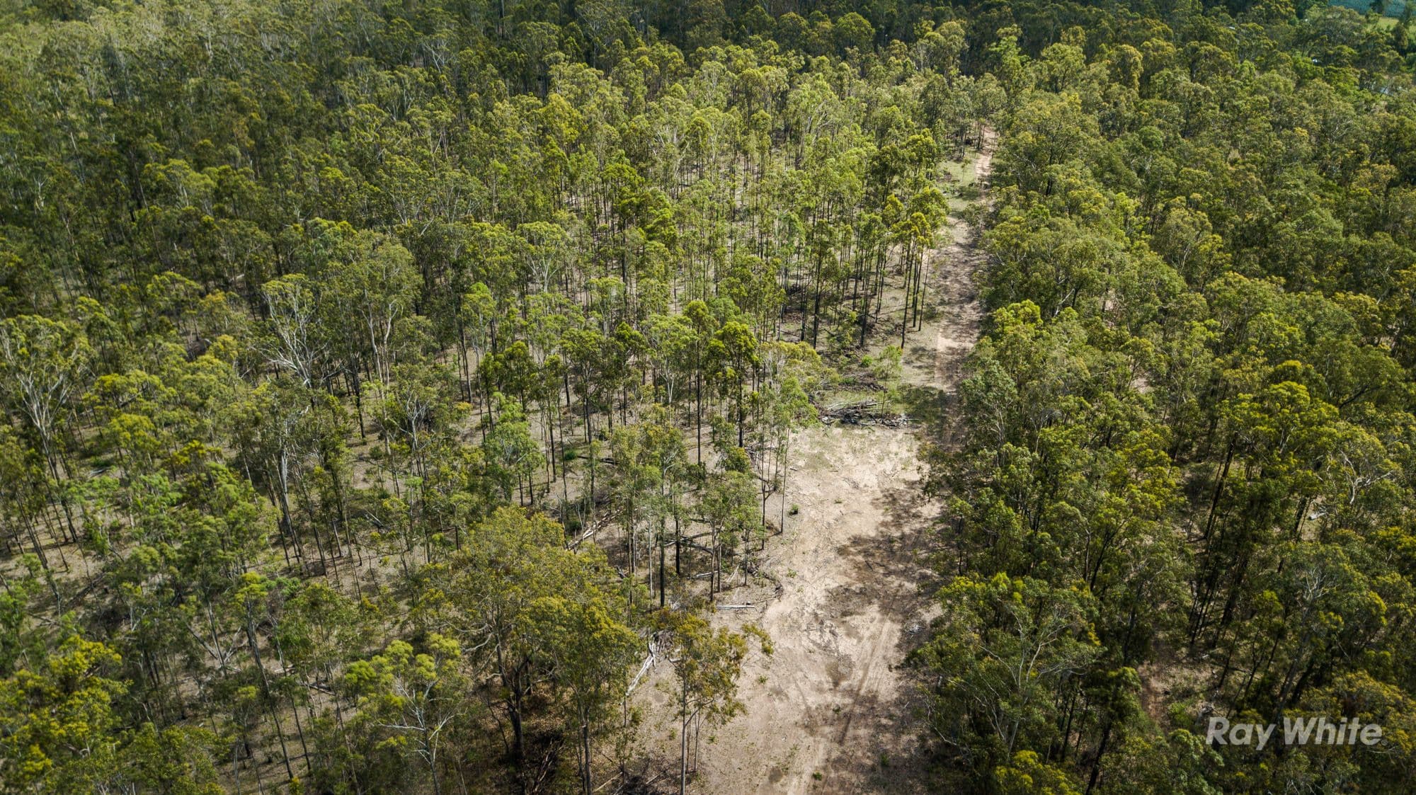 373 Big River Way, Glenugie NSW 2460, Glenugie - Thumbnail 4