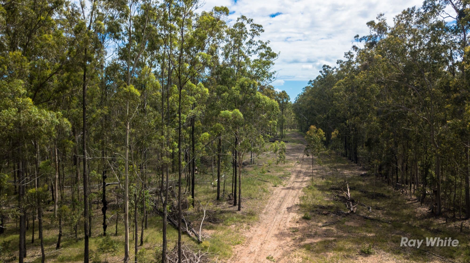 373 Big River Way, Glenugie NSW 2460, Glenugie - Thumbnail 5