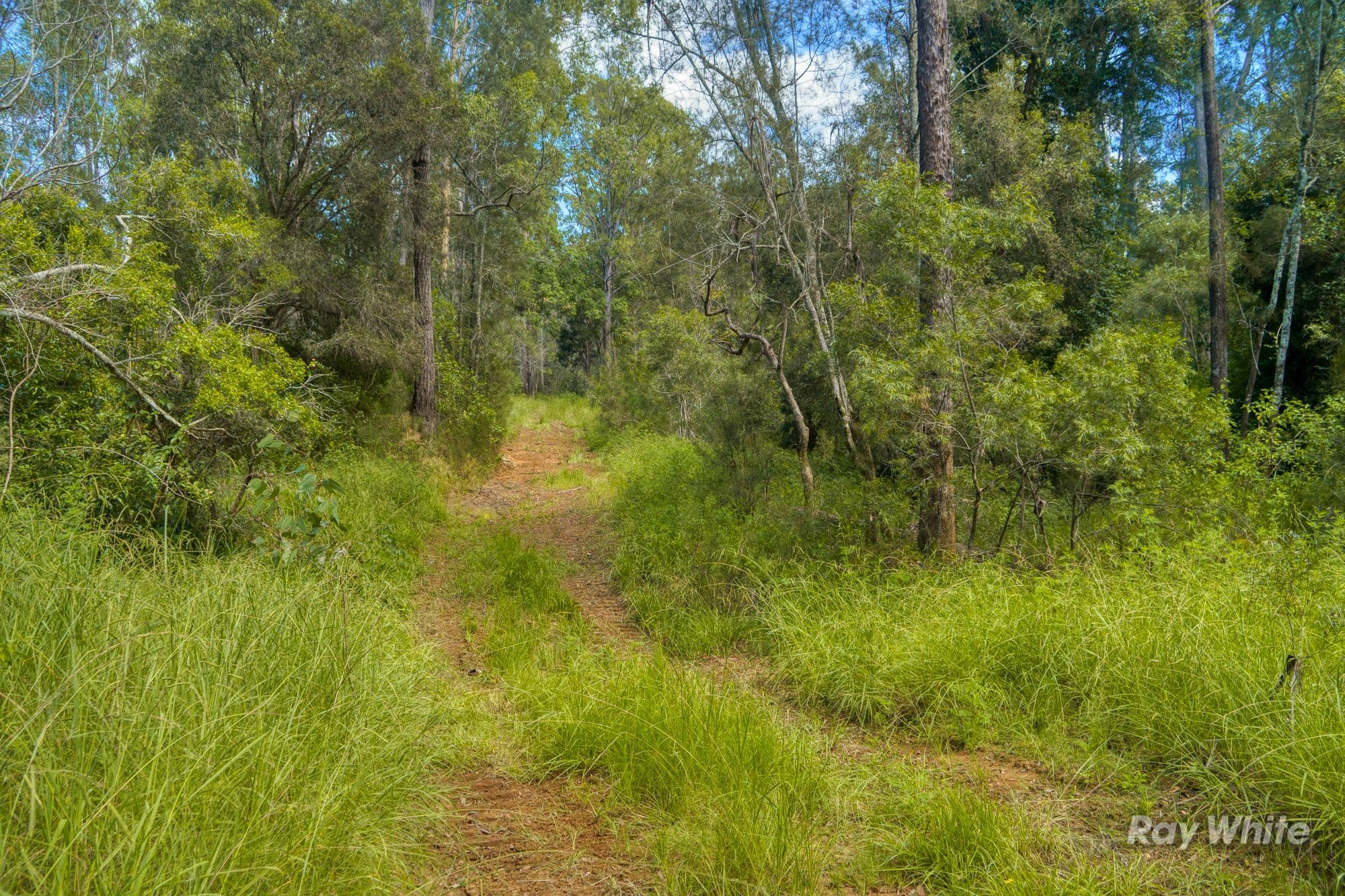 373 Big River Way, Glenugie NSW 2460, Glenugie - Thumbnail 6