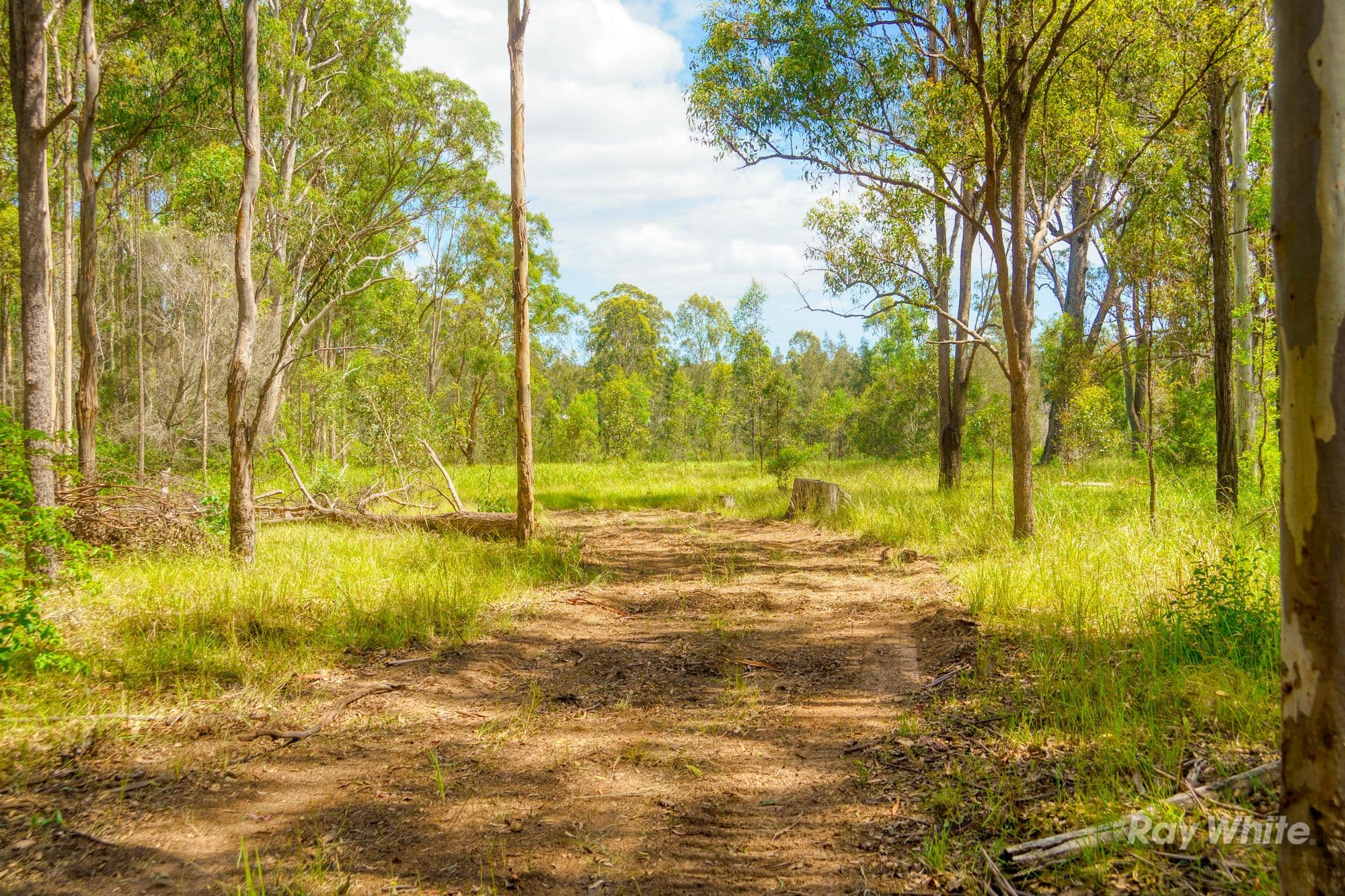 373 Big River Way, Glenugie NSW 2460, Glenugie - Thumbnail 7