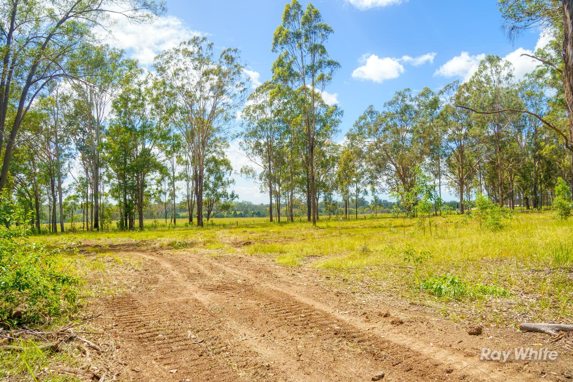 373 Big River Way, Glenugie NSW 2460, Glenugie - Thumbnail 8