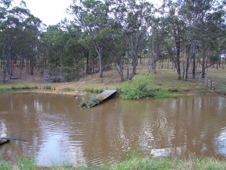 Lot 81 Bridgman Road, Singleton NSW 2330, Singleton - Image 1
