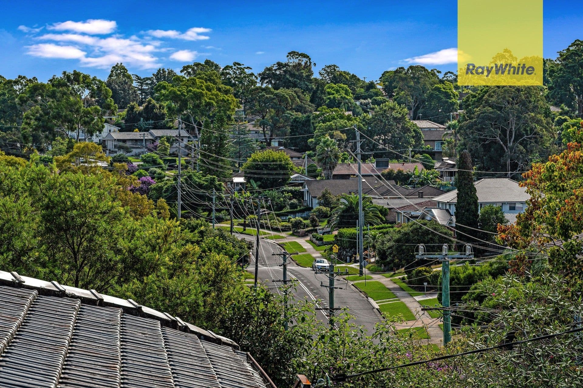 55 Caprera Road, Northmead NSW 2152, Northmead - Thumbnail 8
