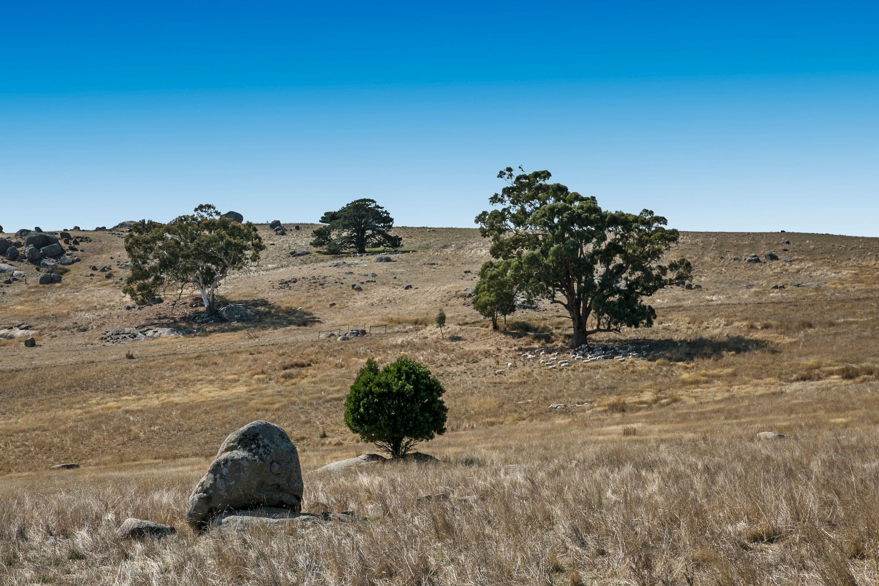 Pyalong VIC 3521, Pyalong - Thumbnail 7