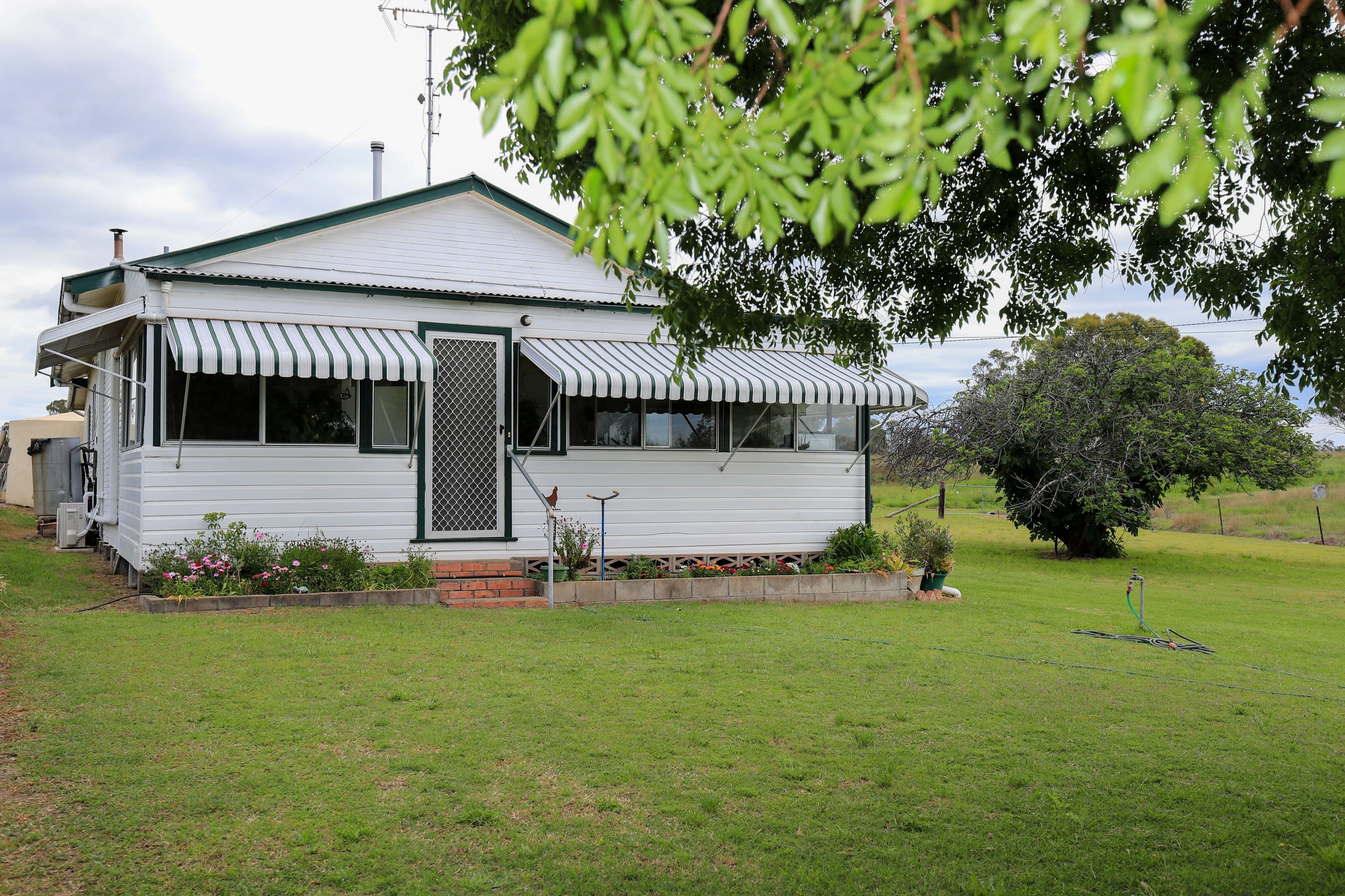103 Inverell Street, Ashford NSW 2361, Ashford - Thumbnail 2