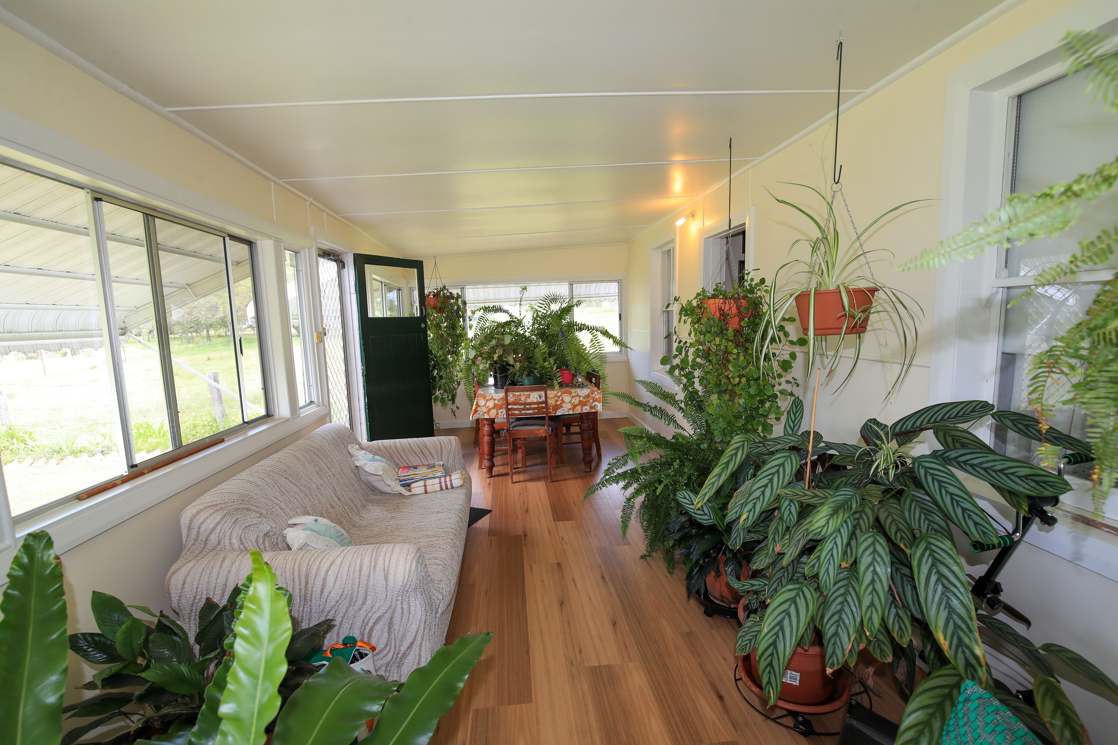 103 Inverell Street, Ashford NSW 2361, Ashford - Thumbnail 3