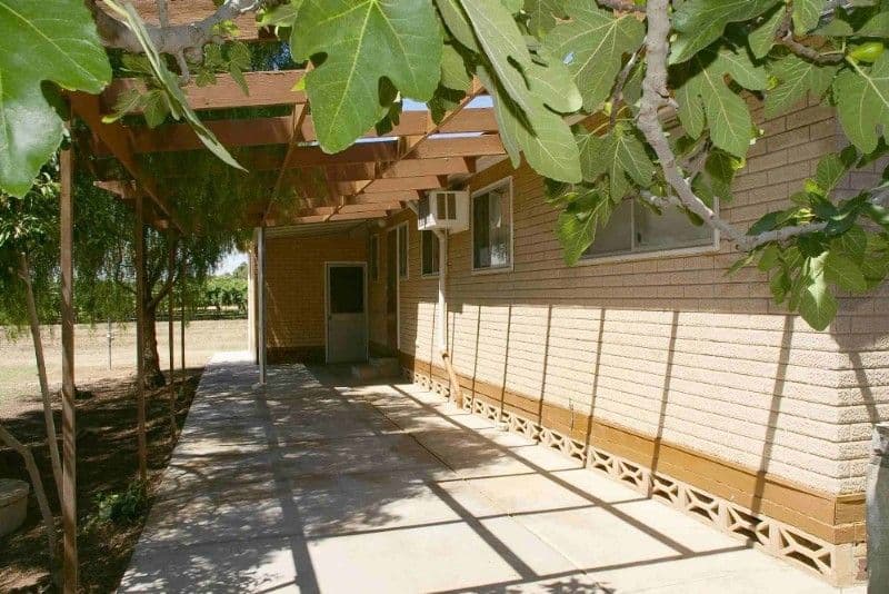 31 Arumpo Street, RENMARK SA 5341, Renmark - Thumbnail 7