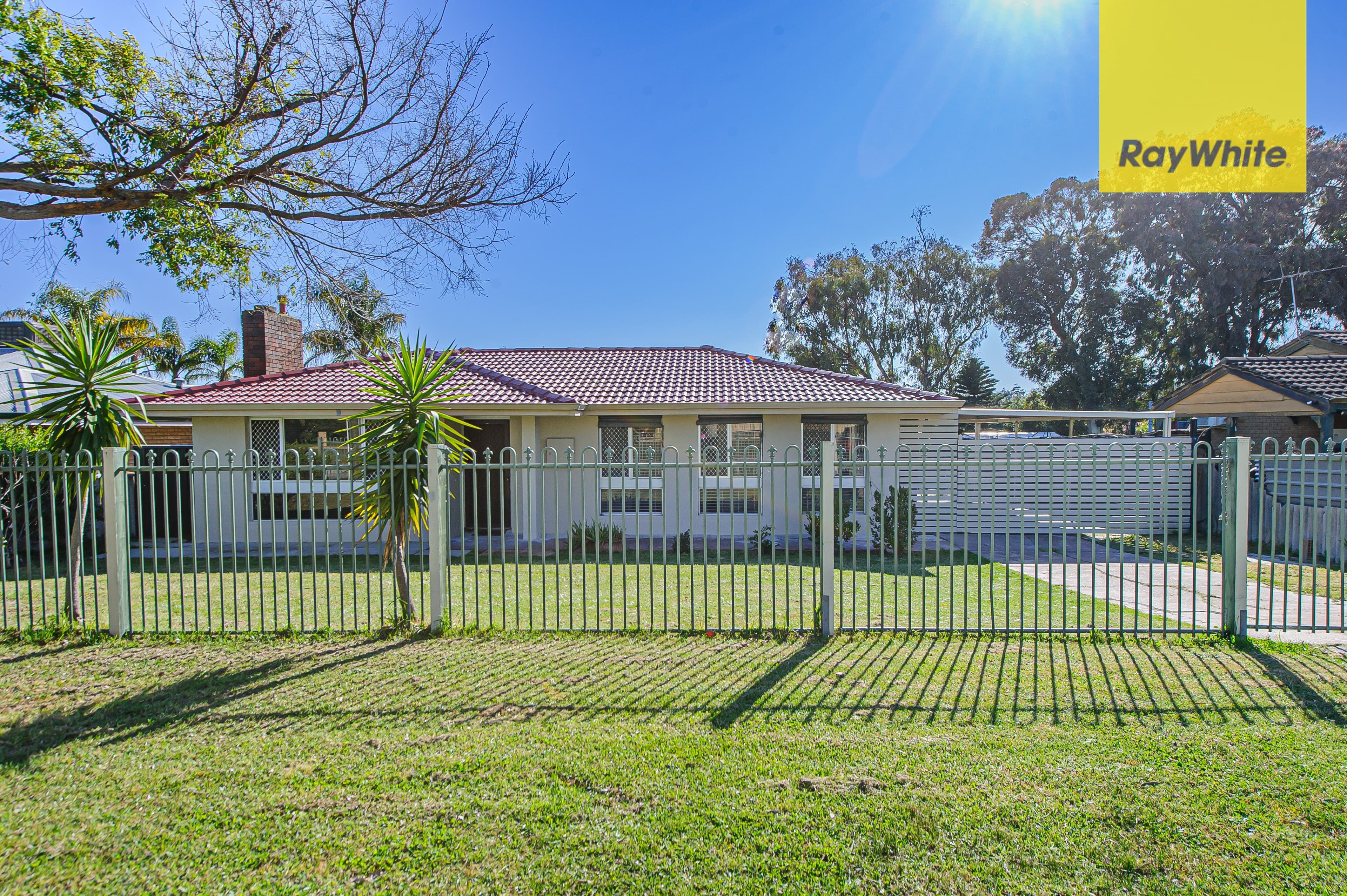 39 Redgum Avenue, Bellevue WA 6056, Bellevue - Thumbnail 3