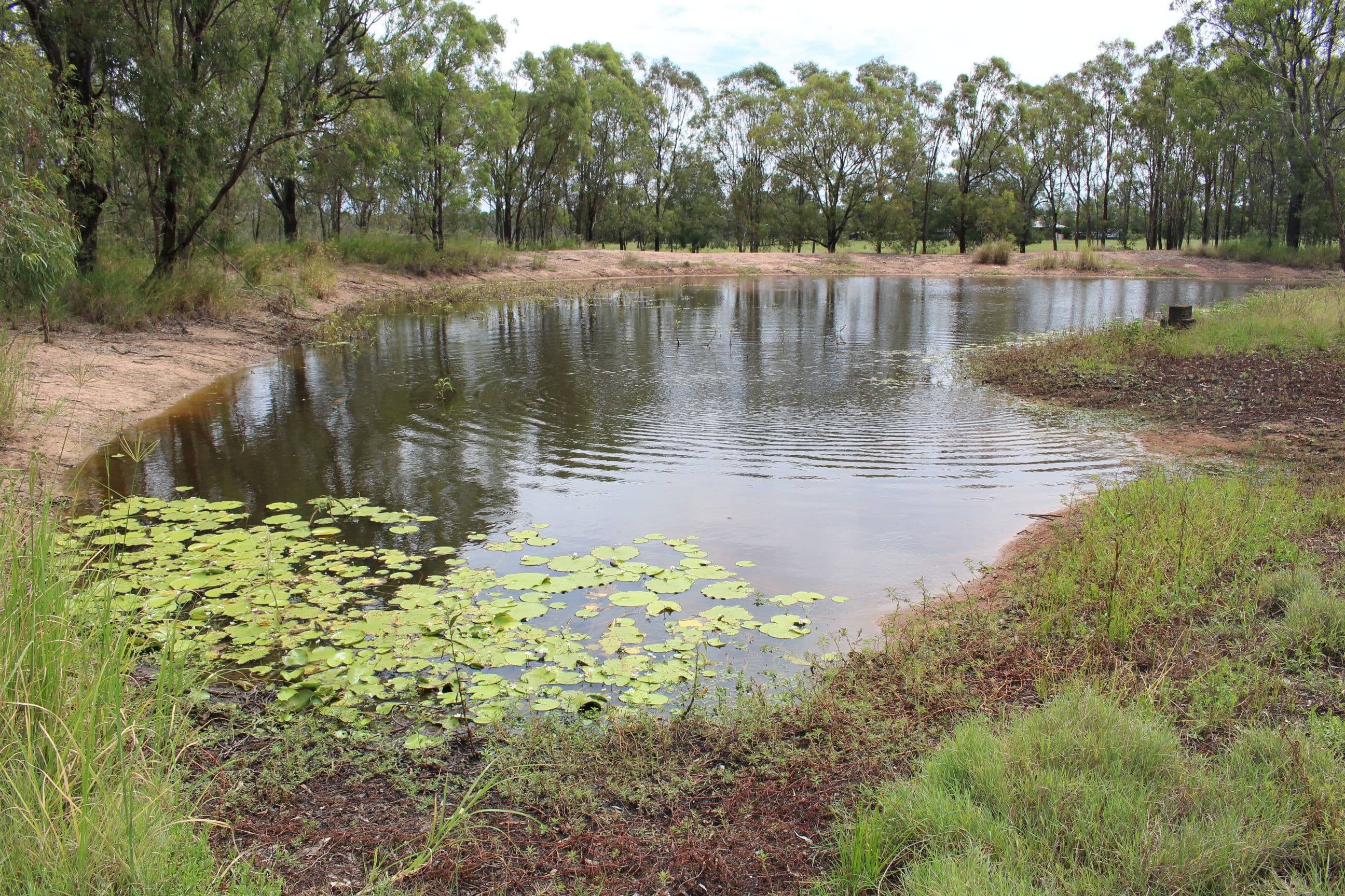 552 West Road, Coominya QLD 4311, Coominya - Thumbnail 2