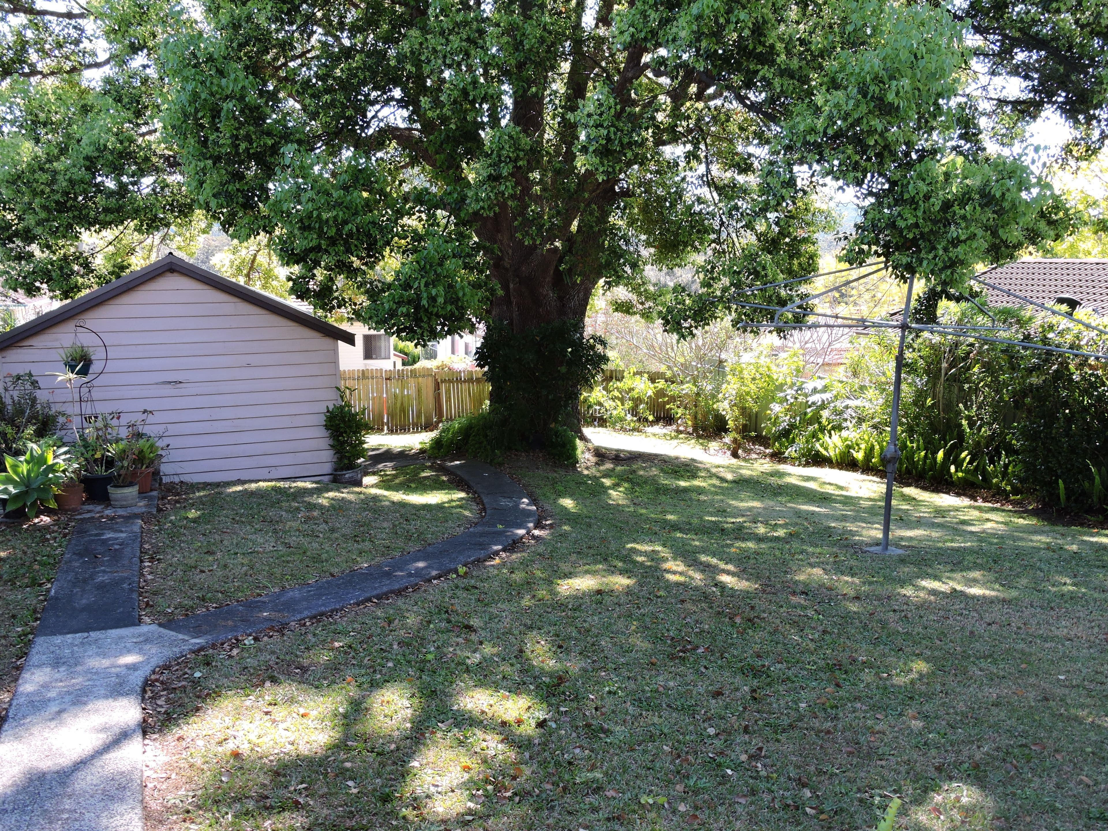 414 Mann Street, North Gosford - Thumbnail 3