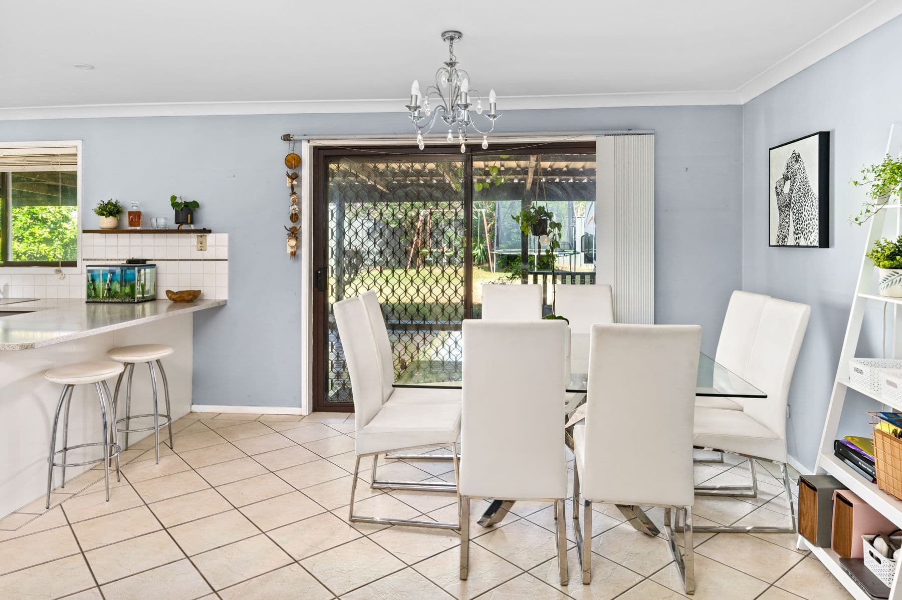 10 Simpson Terrace, Singleton NSW 2330, Darlington - Thumbnail 6