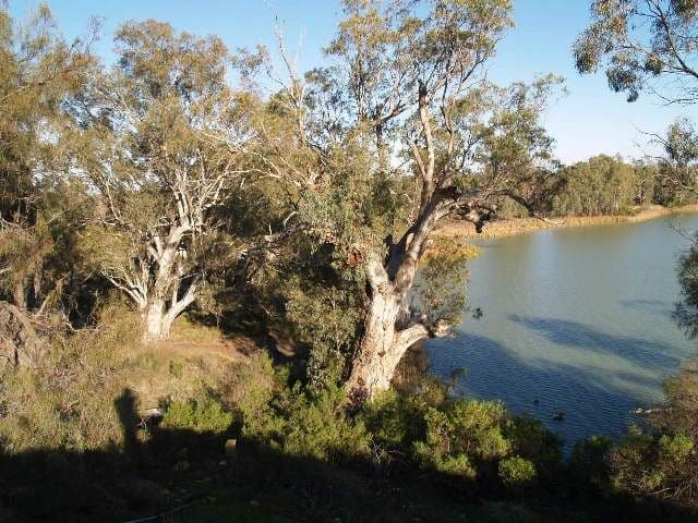 Lot 89 Markaranka Flats, MORGAN SA 5320, Morgan - Image 1