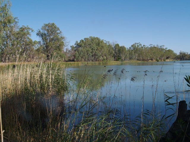 Lot 89 Markaranka Flats, MORGAN SA 5320, Morgan - Thumbnail 3