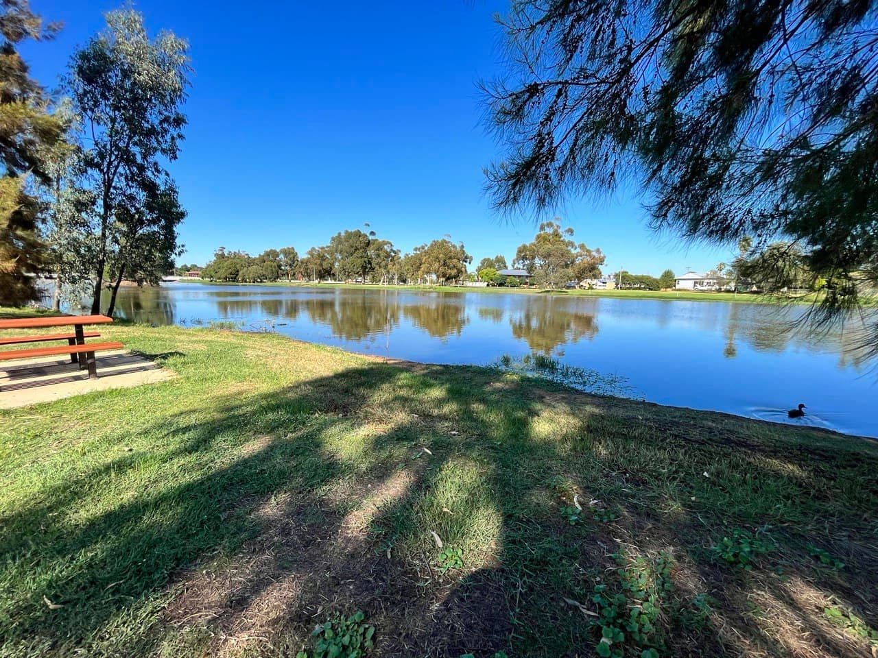 20 Hill Street, Forbes NSW 2871, Forbes - Thumbnail 3