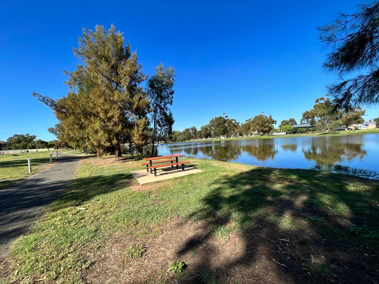 20 Hill Street, Forbes NSW 2871, Forbes - Thumbnail 4