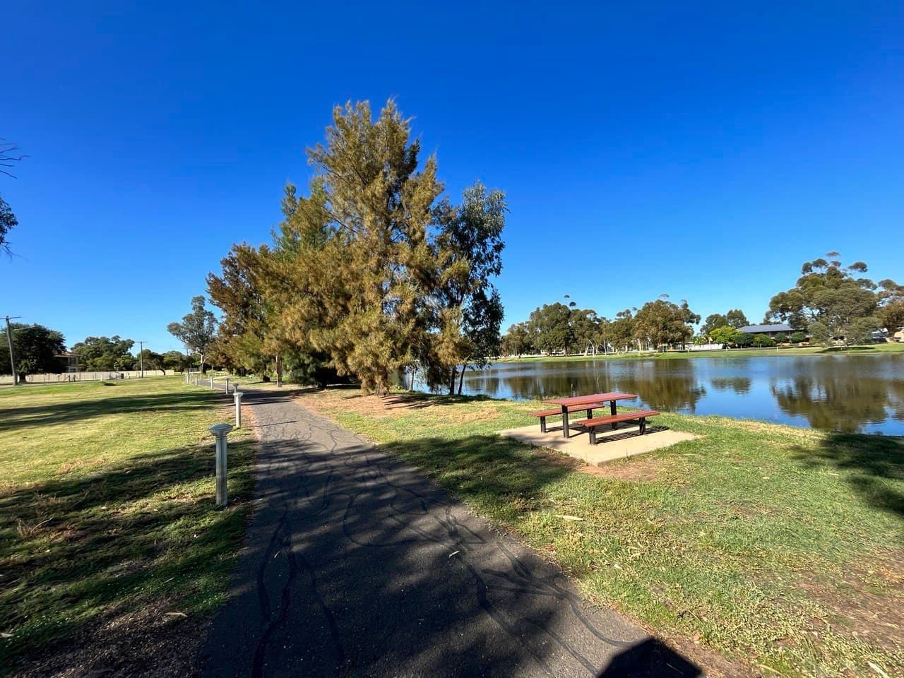 20 Hill Street, Forbes NSW 2871, Forbes - Thumbnail 5