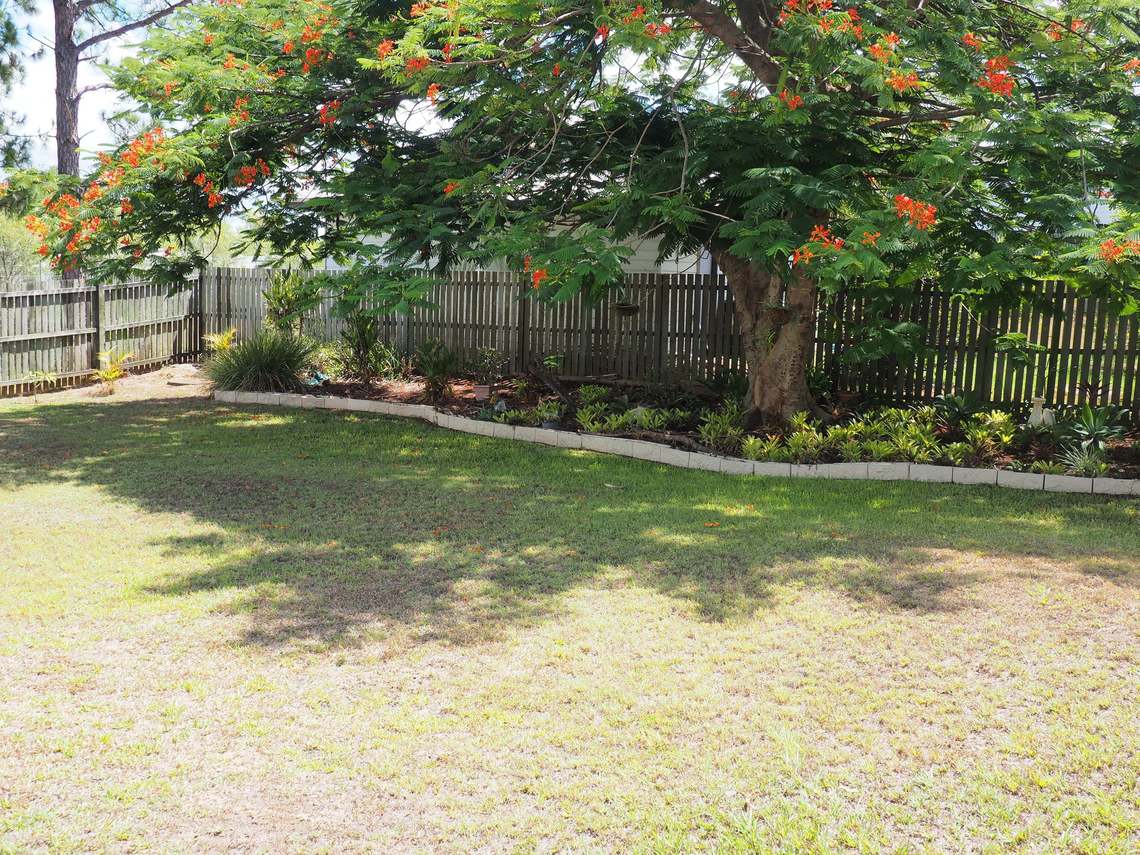22 Jasmine Court, Tinana QLD 4650, Tinana - Thumbnail 8