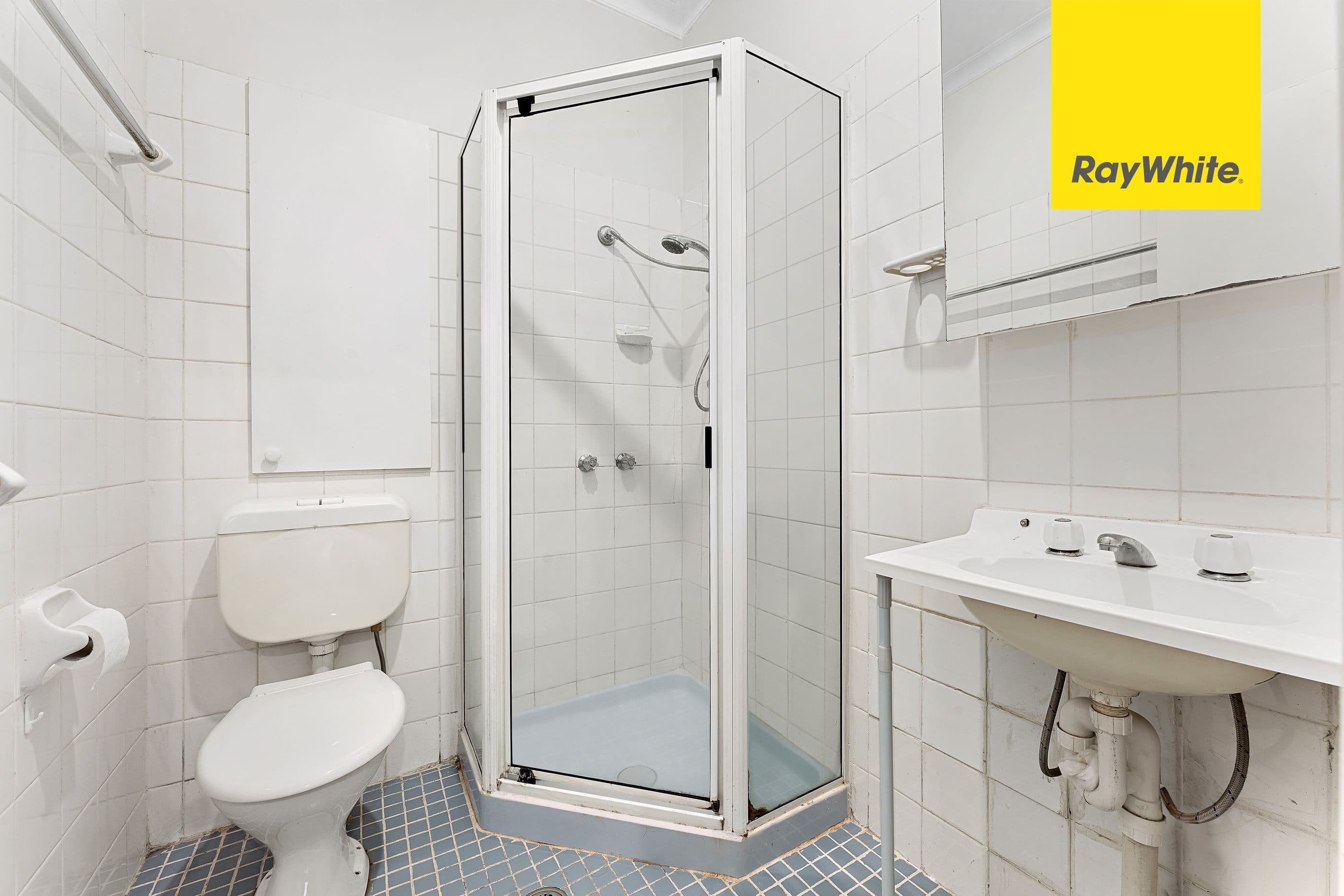 16 Gooreen Street, Lidcombe NSW 2141, Lidcombe - Thumbnail 7