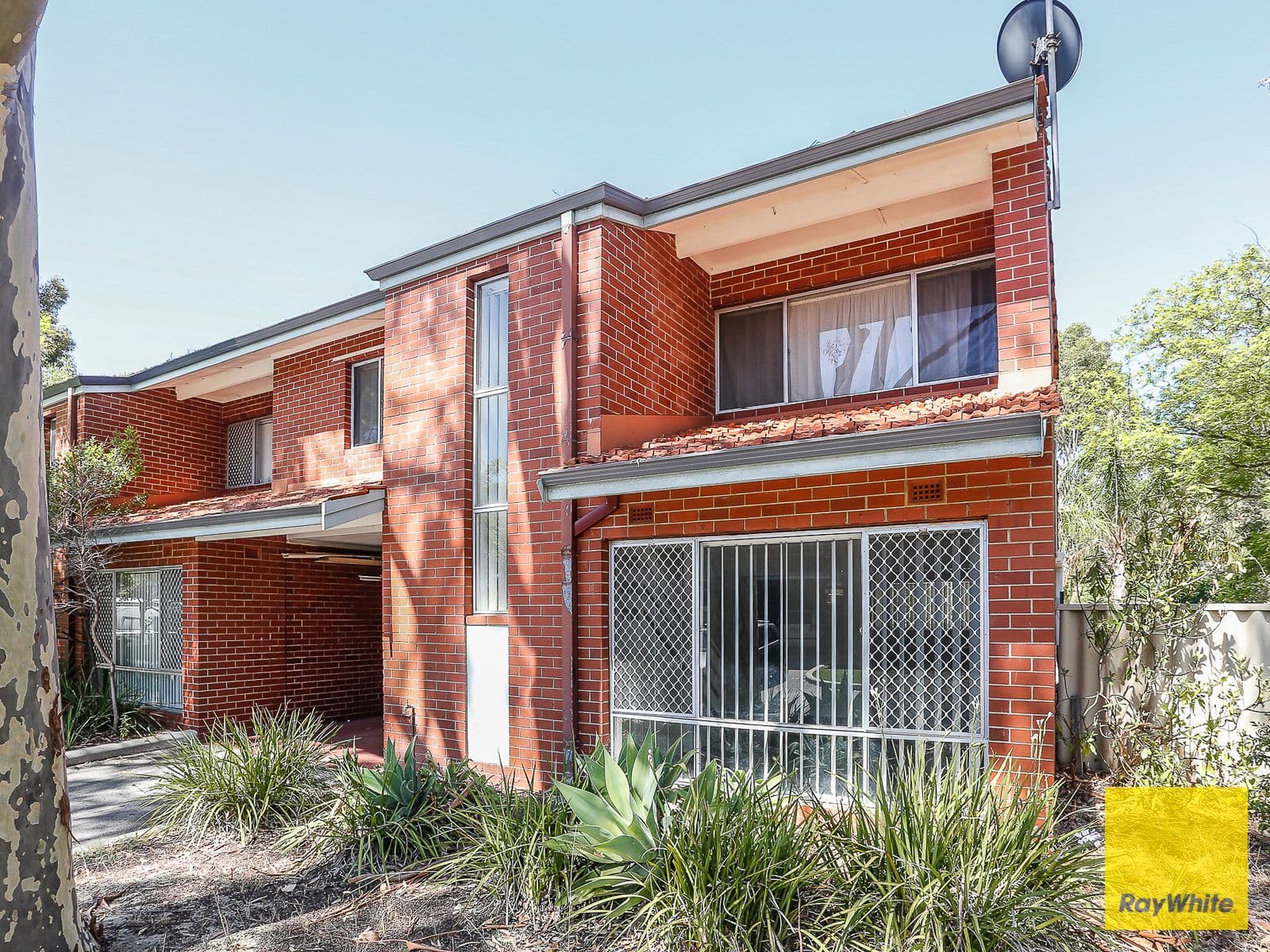 16c Casserley Avenue, Girrawheen WA 6064, Girrawheen - Thumbnail 4