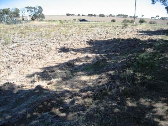 2-4 Cane Avenue, ARDROSSAN SA 5571, Ardrossan - Thumbnail 5